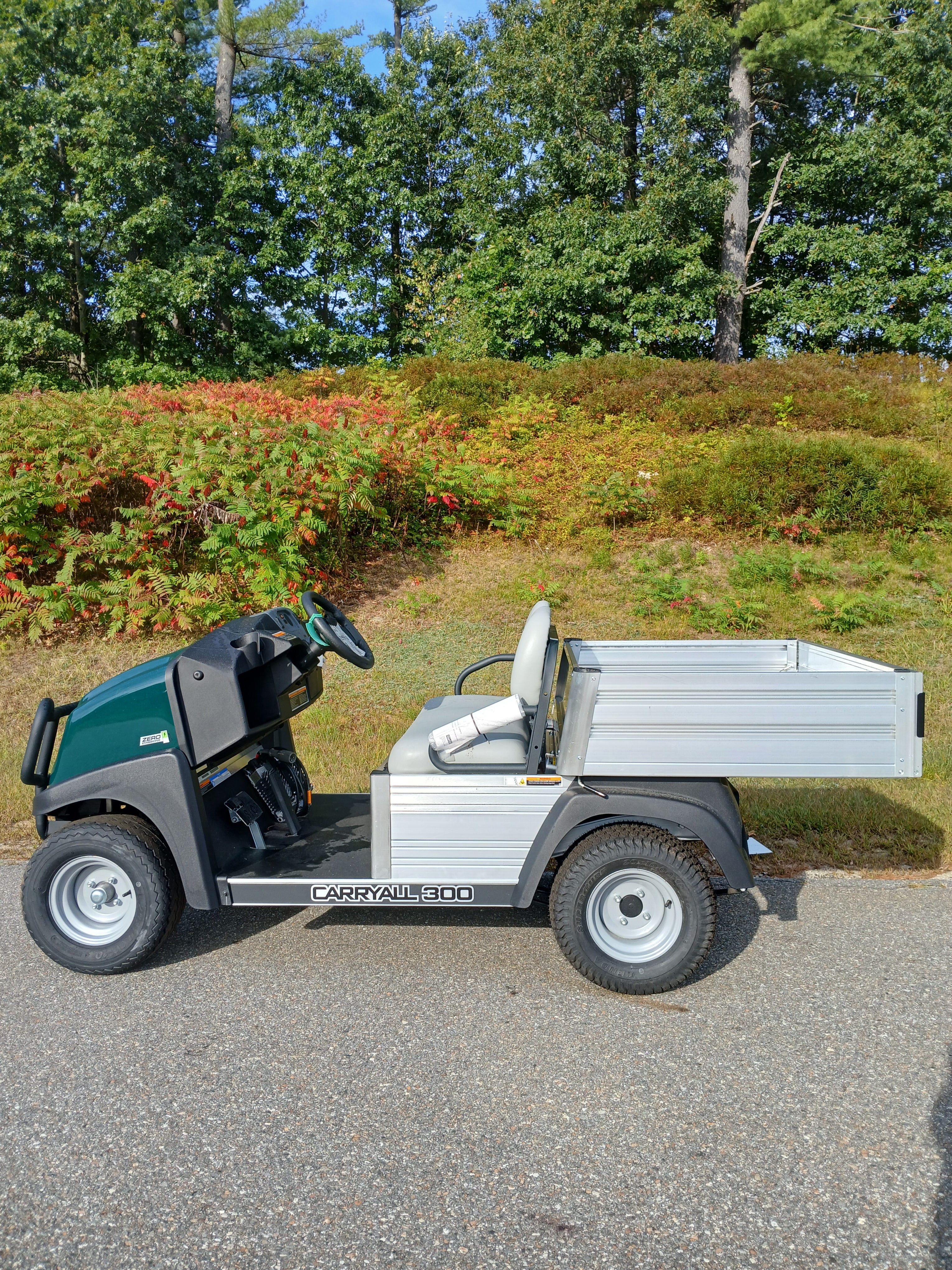 New 2025 Club Car Carryall 300 Electric FLA 2 Passengers