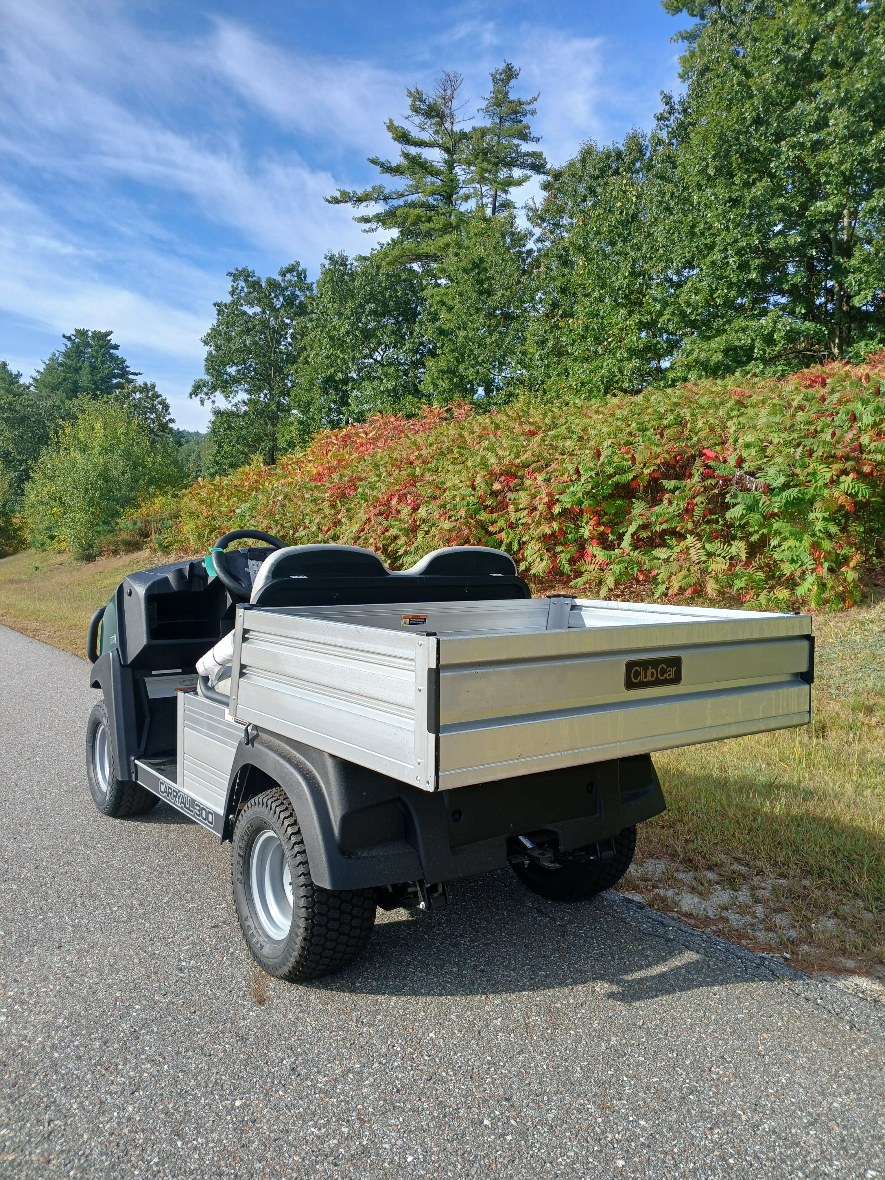 New 2025 Club Car Carryall 300 Electric FLA 2 Passengers