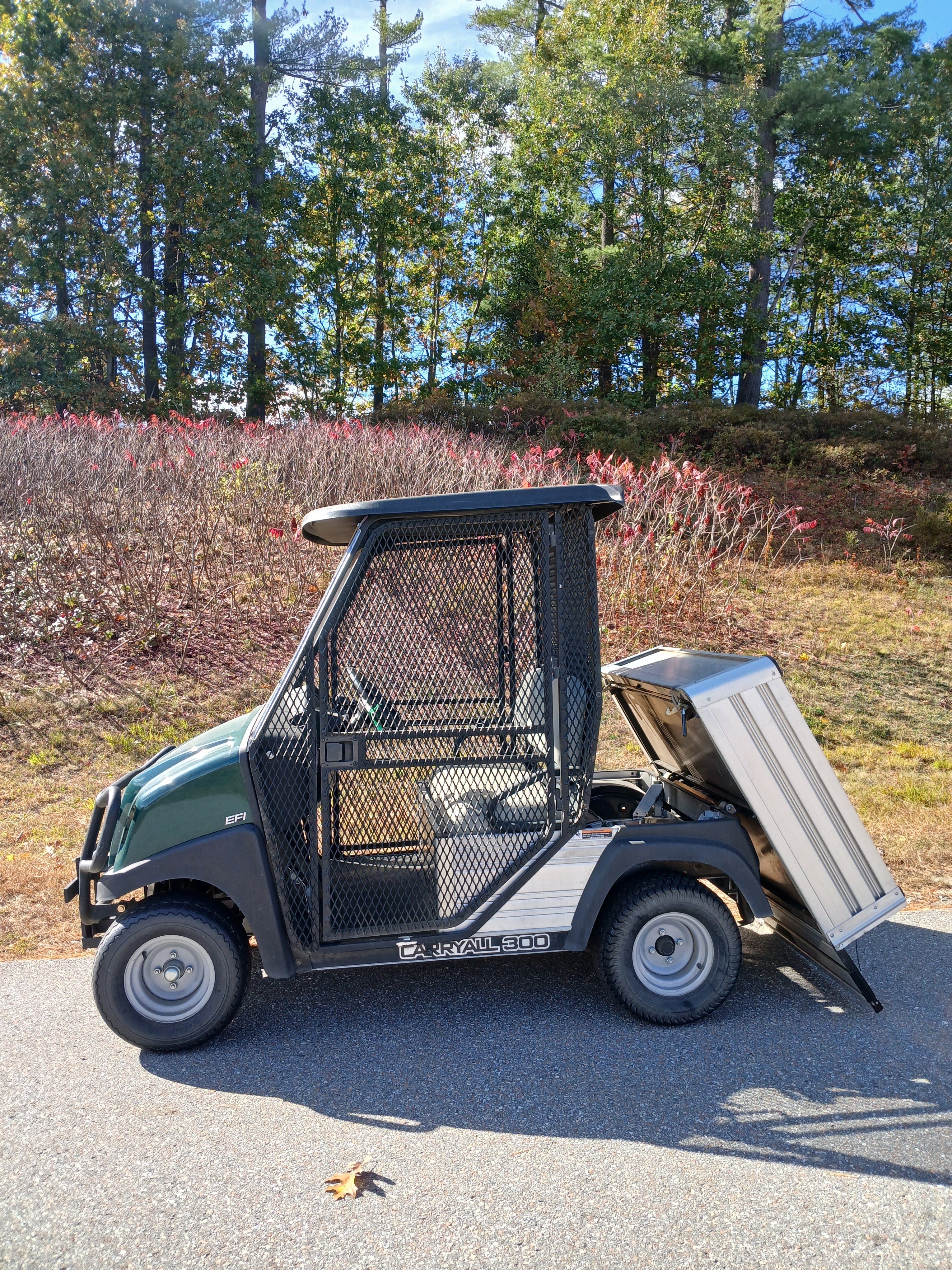 Used 2021 Club Car Carryall 300 Gas 2 Passengers