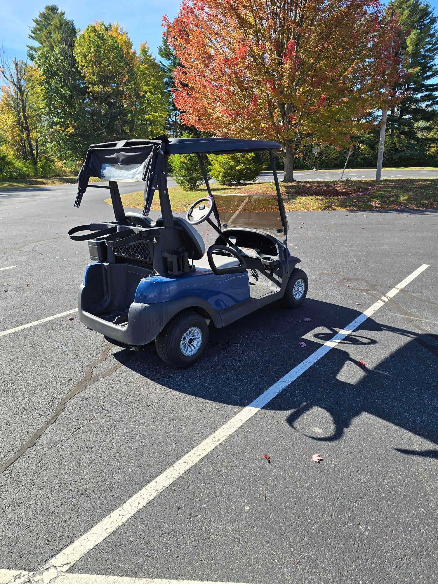Used 2016 Club Car Precedent Electric FLA 2 Passengers