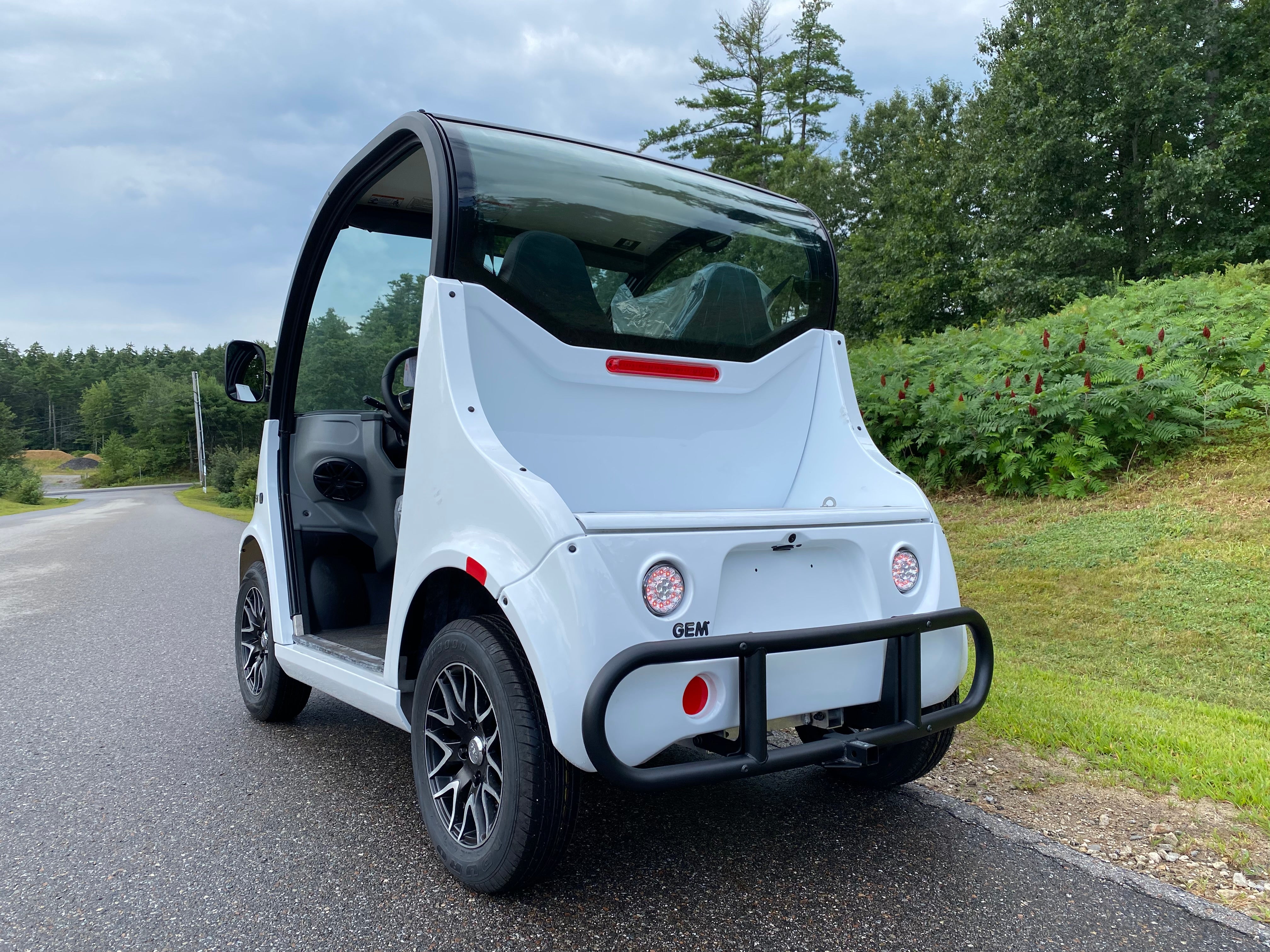 New 2023 GEM E2 AGM 2 Passengers