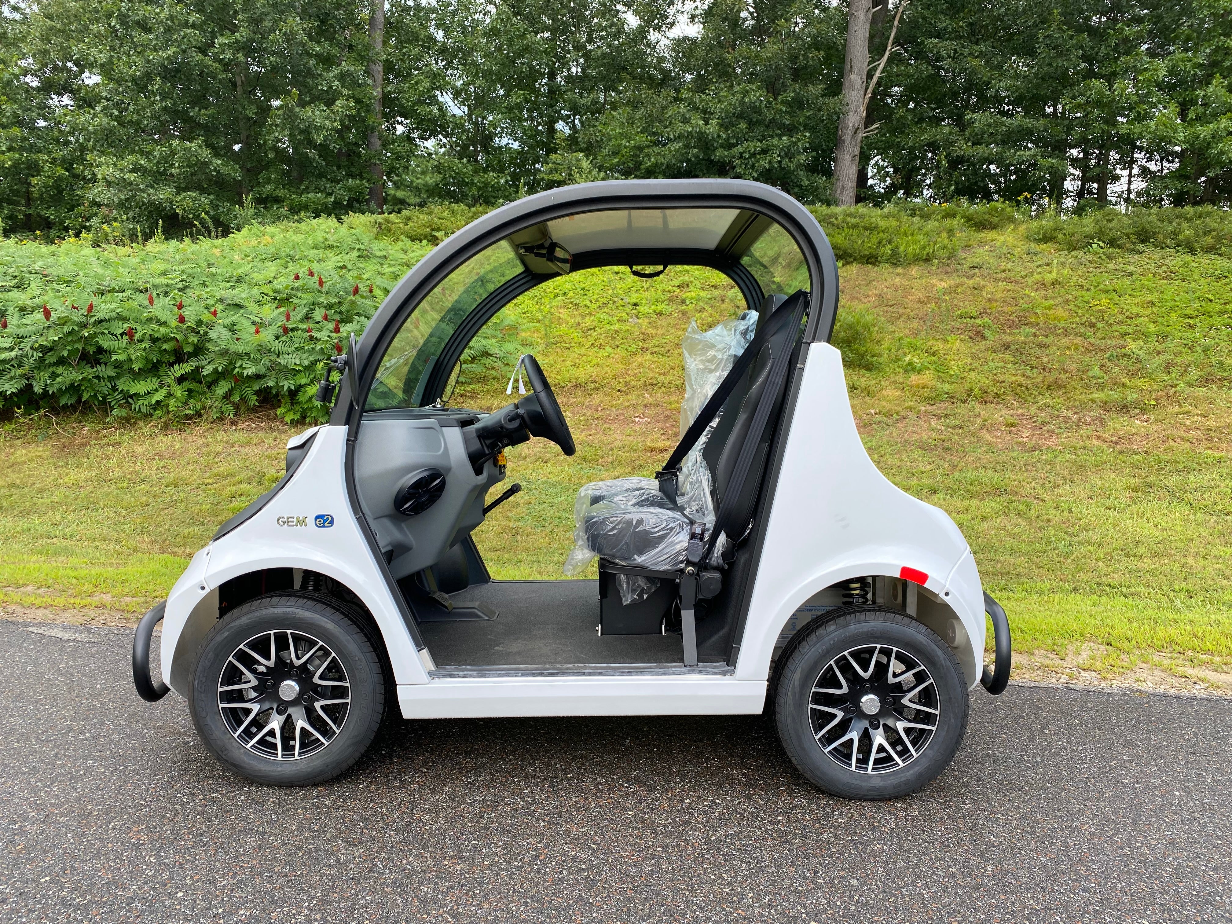 New 2023 GEM E2 AGM 2 Passengers