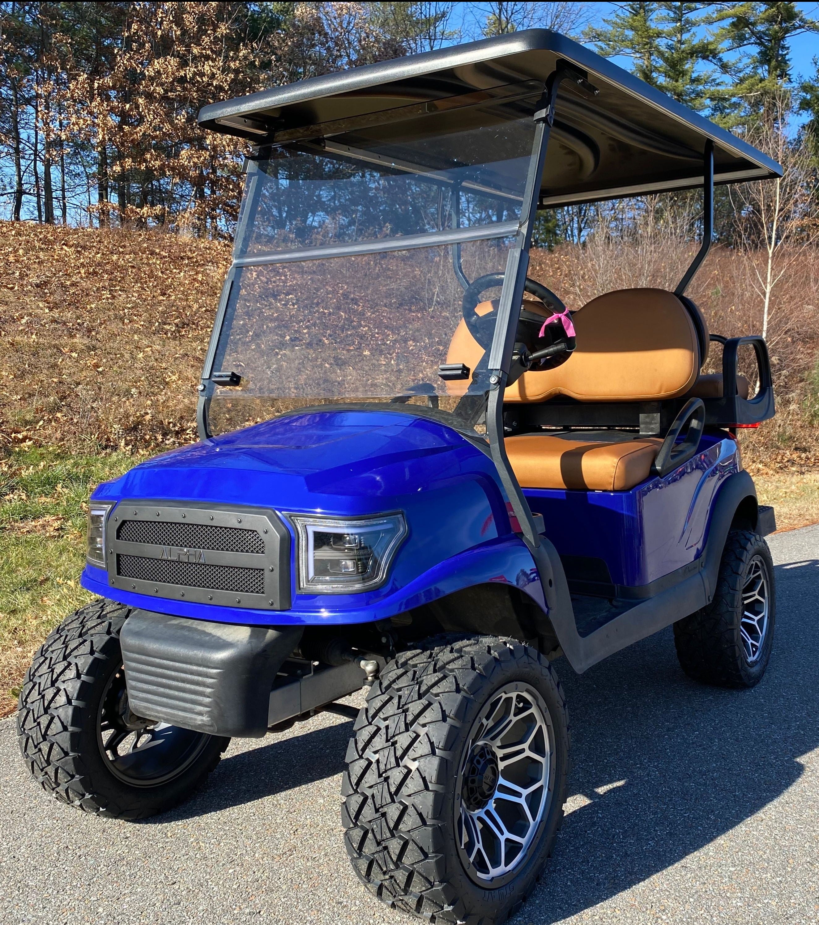 Used 2018 Club Car Alpha Flooded Lead Acid Four Passenger Passangers